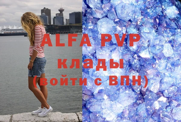 a pvp Бородино