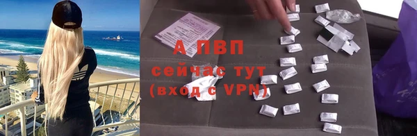 СК Бронницы
