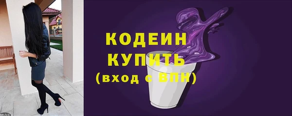 a pvp Бородино