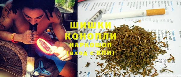 a pvp Бородино