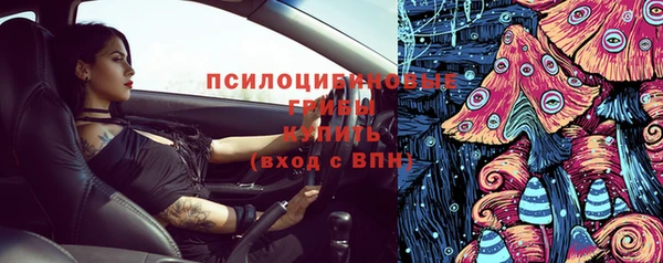 a pvp Бородино