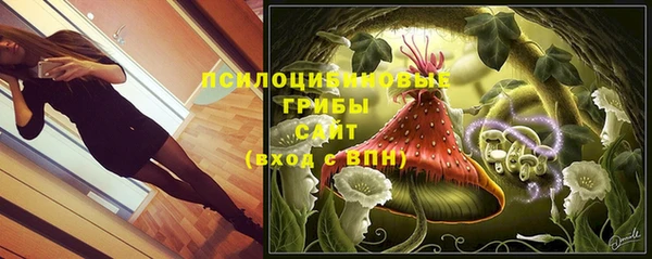 a pvp Бородино