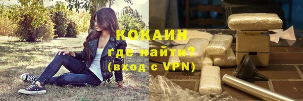 a pvp Бородино