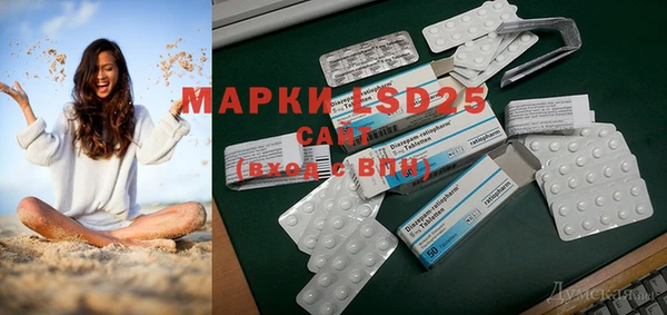 a pvp Бородино