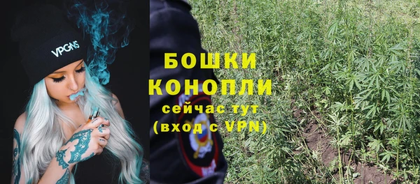 a pvp Бородино