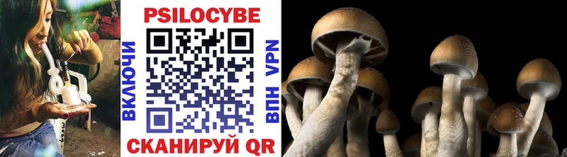 купить наркотики цена  Тбилисская  Галлюциногенные грибы мухоморы 