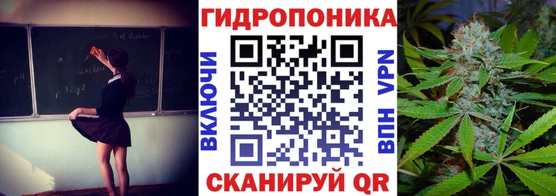 Бошки марихуана план  как найти   даркнет как зайти  Тбилисская 